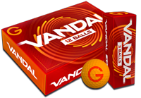 Vandal
