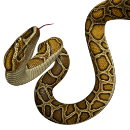 Slither