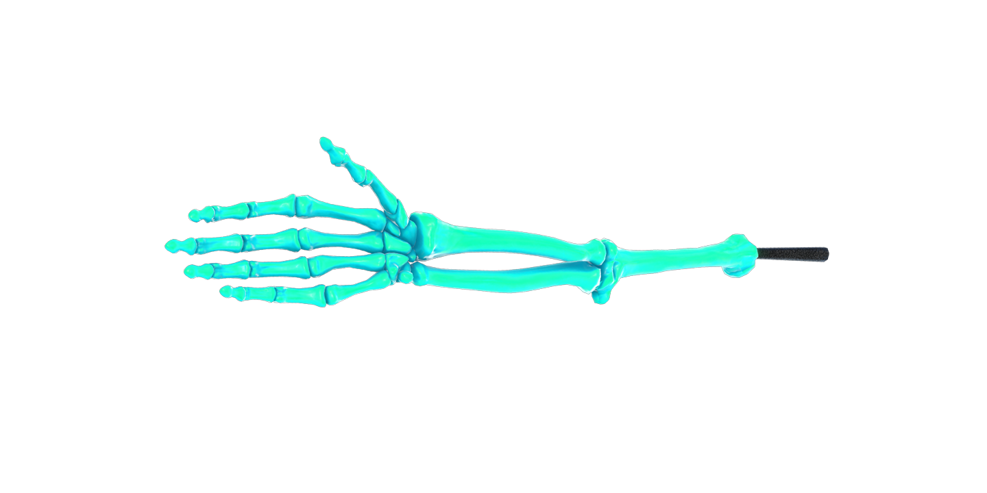 Them Bones